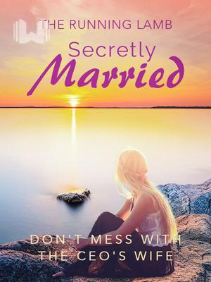 Secretly Married: Don't Mess With The CEO's Wife