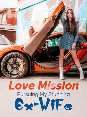 Love Mission: Pursuing My Stunning Ex-Wife