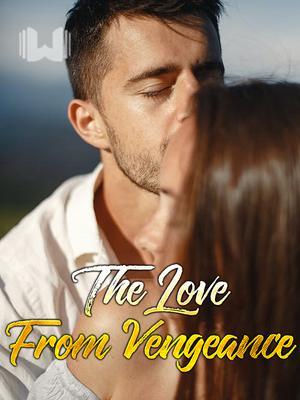 The Love From Vengeance