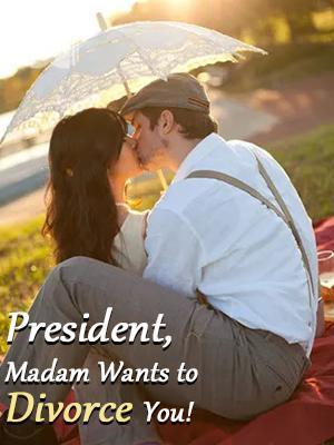 President, Madam Wants to Divorce You!